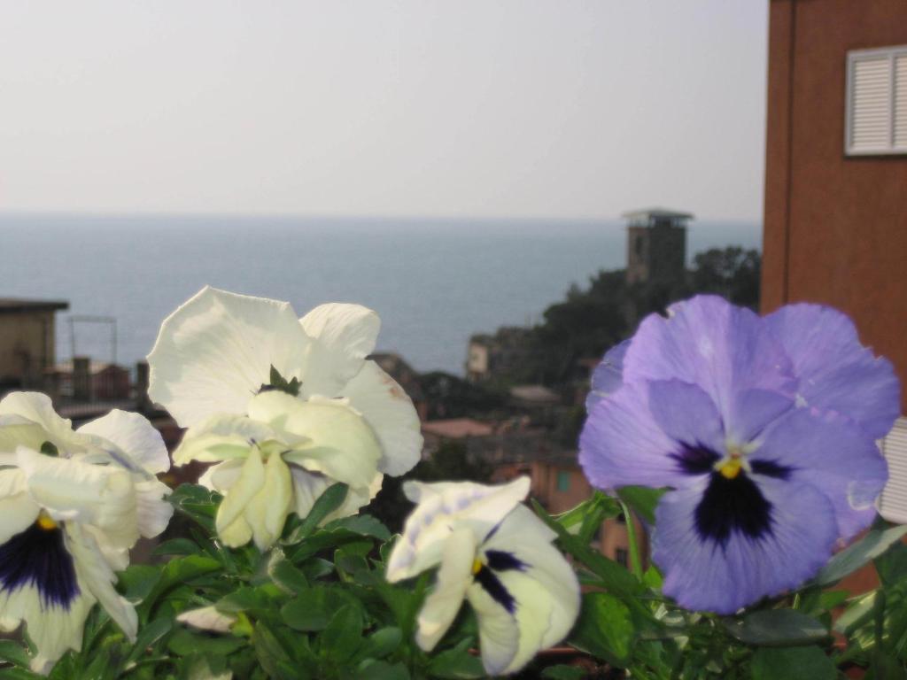 Villa Cristina Monterosso al Mare Kültér fotó