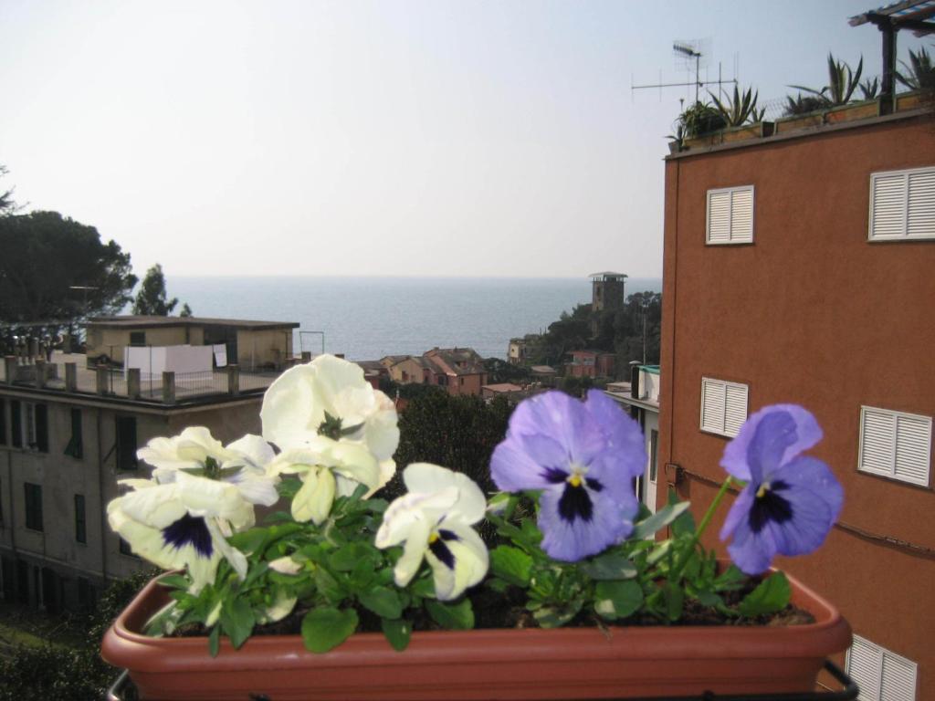 Villa Cristina Monterosso al Mare Kültér fotó